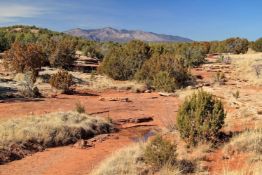 Invest in Growth in Valencia County, New Mexico!