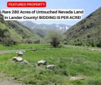 Rare 280 Acres of Untouched Nevada Land in Lander County! BIDDING IS PER ACRE!