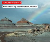 A Desert Beauty Near Holbrook, Arizona!