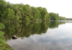 Double Lot in Beautiful Allegan County, Michigan!