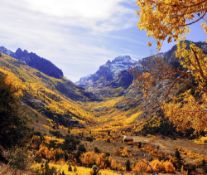 Nevada Mountains, Wildflowers & Western Heritage!