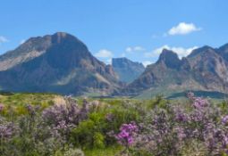 Claim 40 Remote Acres in Presidio County, Texas!