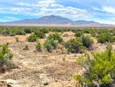 Close to the New Mexico Mountains!
