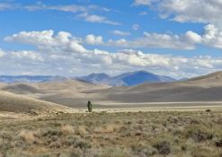 280 Acres of Mountain Views in Lander County! BIDDING IS PER ACRE!