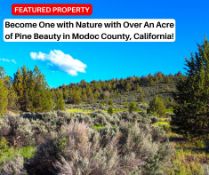 Become One with Nature with Over An Acre of Pine Beauty in Modoc County, California!