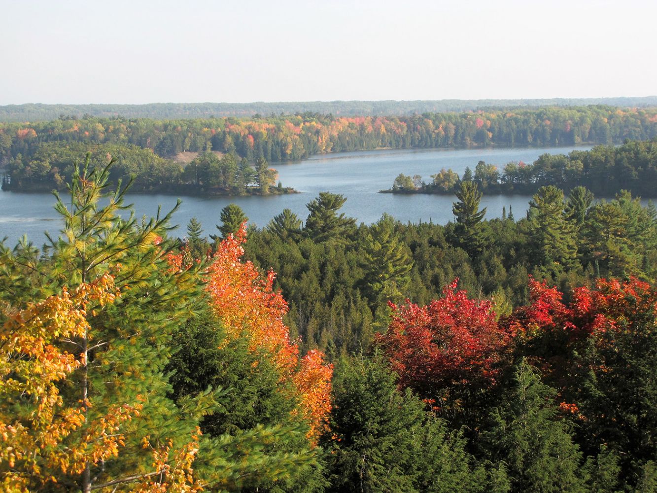 Build, Invest, or Hold – Premium Land Auction!