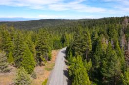 Escape the City to Beautiful Modoc County in Northeast California!