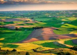 Bid Monthly Payments on Land Across the USA!