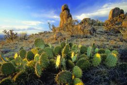 FINANCE: Prime Investment Land in Valencia County, New Mexico! YOUR BID IS YOUR MONTHLY PAYMENT!