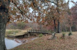 FINANCE: Buildable Lot in Ozark Acres, Arkansas! YOUR BID IS YOUR MONTHLY PAYMENT!