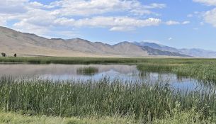 FINANCE: Discover the Beauty of Elko County, Nevada! YOUR BID IS YOUR MONTHLY PAYMENT!