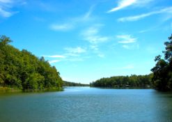 FINANCE: Relaxed Living in the Ozarks in Sharp County, Arkansas! YOUR BID IS YOUR MONTHLY PAYMENT!