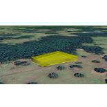 FINANCE: 1.63 Acres in Sunny Florida! YOUR BID IS YOUR MONTHLY PAYMENT!