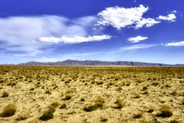 FINANCE: Invest in New Mexico Land! YOUR BID IS YOUR MONTHLY PAYMENT!