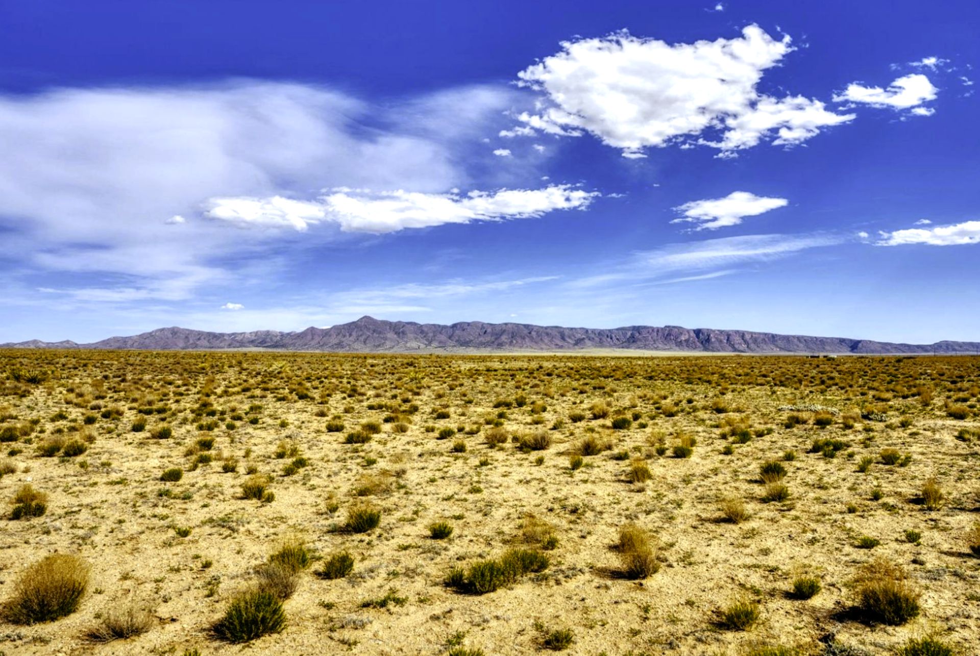 FINANCE: Invest in New Mexico Land! YOUR BID IS YOUR MONTHLY PAYMENT!
