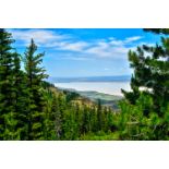 FINANCE: Build in Stunning California Pines! YOUR BID IS YOUR MONTHLY PAYMENT!