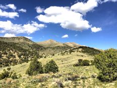 FINANCE: High Desert Retreat in Elko County with Endless Adventure! YOUR BID IS YOUR MONTHLY PAYM...