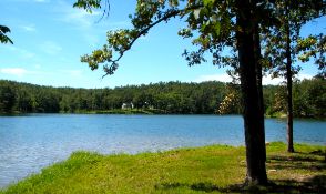 FINANCE: Build Near Lake in Sharp County, AR! YOUR BID IS YOUR MONTHLY PAYMENT!