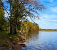 Your Truman Lake Double Lot Camping Spot!