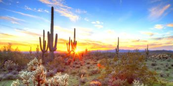 Affordable Scenic Property in Arizona's Twin Lakes Country Club!