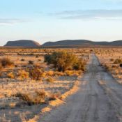 Own 40 Off-Grid Acres in West Texas!