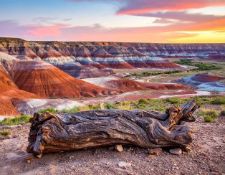 Own Property in Navajo County, Arizona: the Grand Canyon State!
