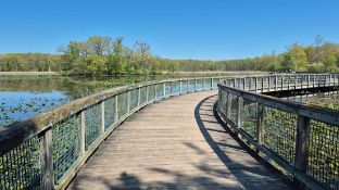 Michigan Land Surrounded by Lakes in Oakland County!