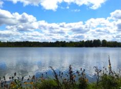 Affordable Lot with Lake Access in Montcalm County, Michigan!