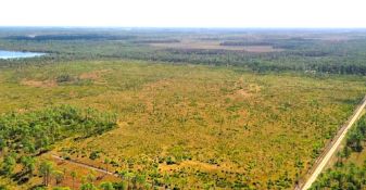 Price Drop! Wooded Lot Near Florida State Road 31!