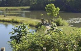 Your Own Personal Fishing Spot in Bangor, Michigan!