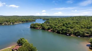 Unlock 20 Buildable Properties in Arkansas' Ozarks!