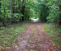 Wooded Lot in Peaceful Allegan County, MI!