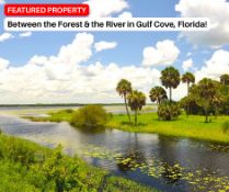 Between the Forest & the River in Gulf Cove, Florida!