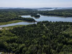 Own 90 Acres in Steuben, Maine: Your Downeast Retreat Awaits!