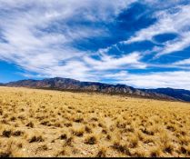 Quarter-Acre Lot Near the Mountains in New Mexico!