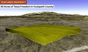 40 Acres of Texas Freedom in Hudspeth County!