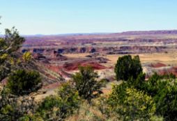 Arizona Desert Retreat in Navajo County Near Petrified Forest!