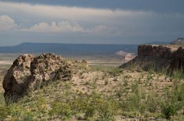 Highly Sought-After Texas Land Near Route 67!