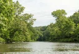 Quarter-Acre Lot in the Arkansas Ozarks!