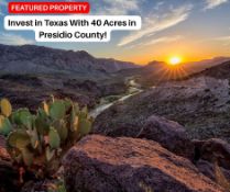 Invest in Texas With 40 Acres in Presidio County!
