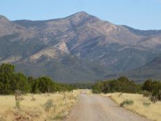 Capitalize on Growth in New Mexico!