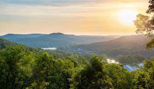 Discover Ozark Acres, Arkansas's Hidden Gem!