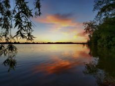 Land in Iosco County, Michigan: Buildable & Wooded, Near Lake Huron!