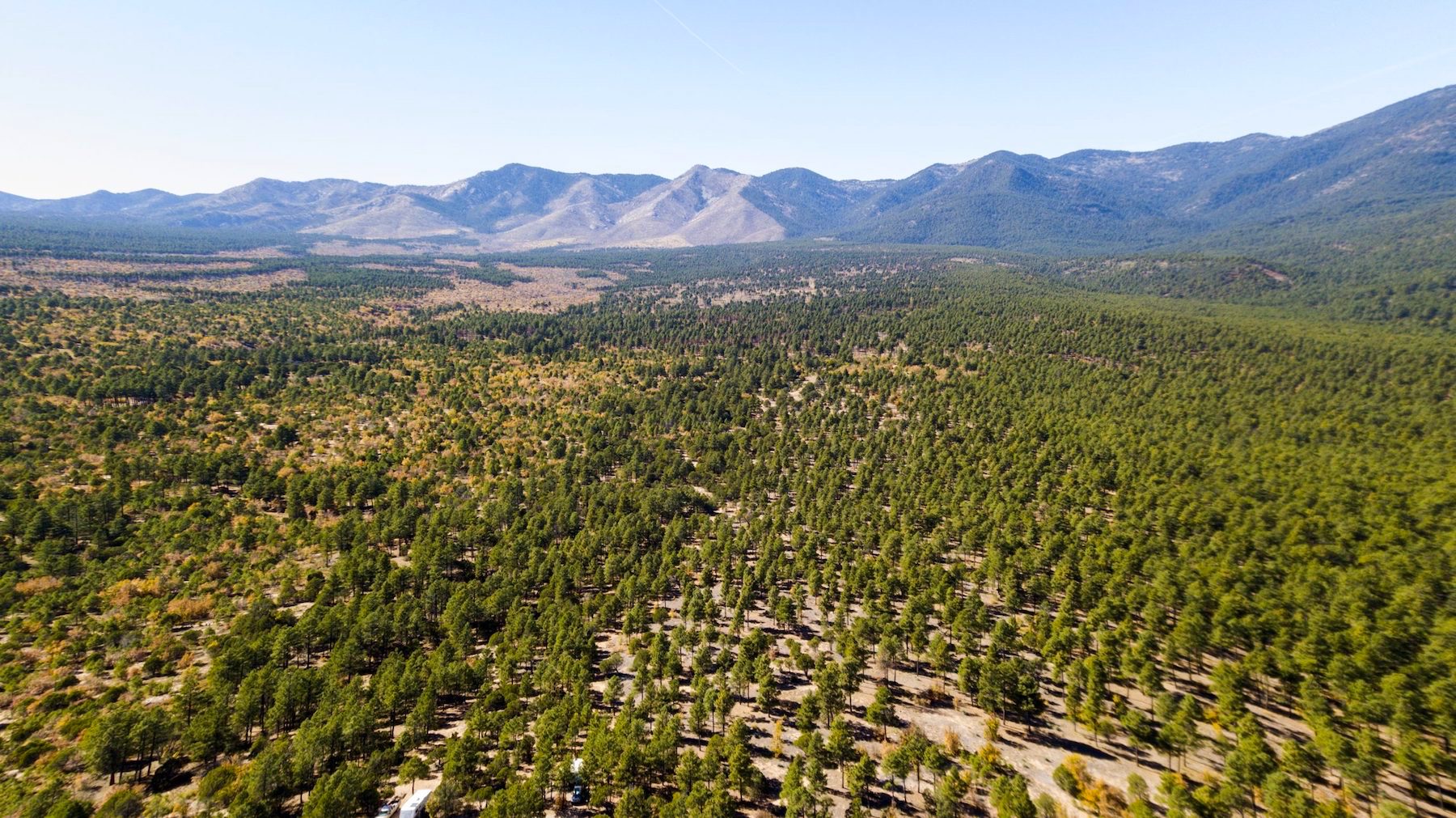 FINANCE: Affordable New Mexico Land! YOUR BID IS YOUR MONTHLY PAYMENT!