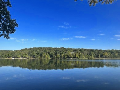 FINANCE: Near Spring Lake in Sharp County, Arkansas! YOUR BID IS YOUR MONTHLY PAYMENT!