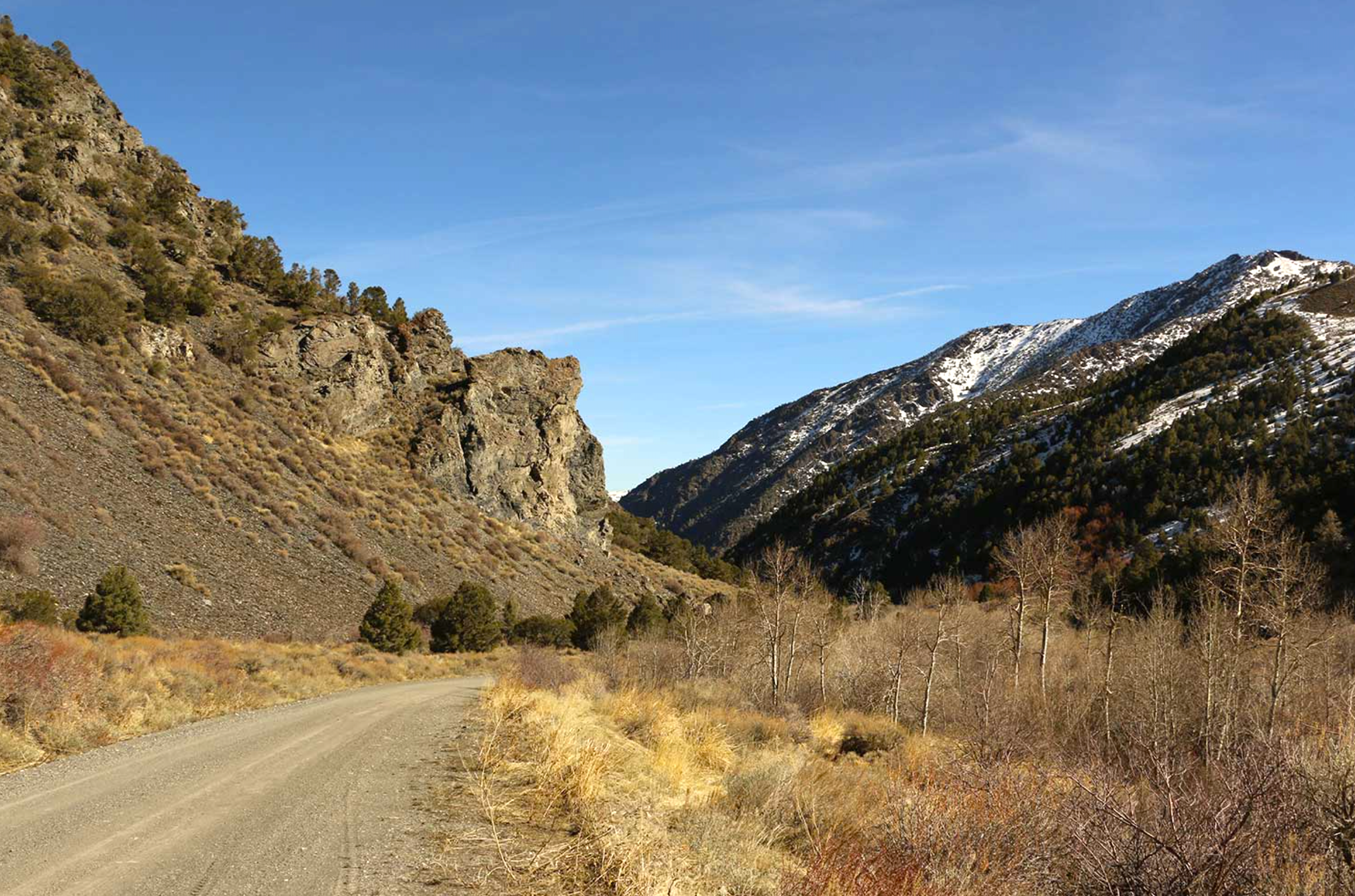 FINANCE: Buildable Lot Near Nevada's Toiyabe Mountains! YOUR BID IS YOUR MONTHLY PAYMENT!