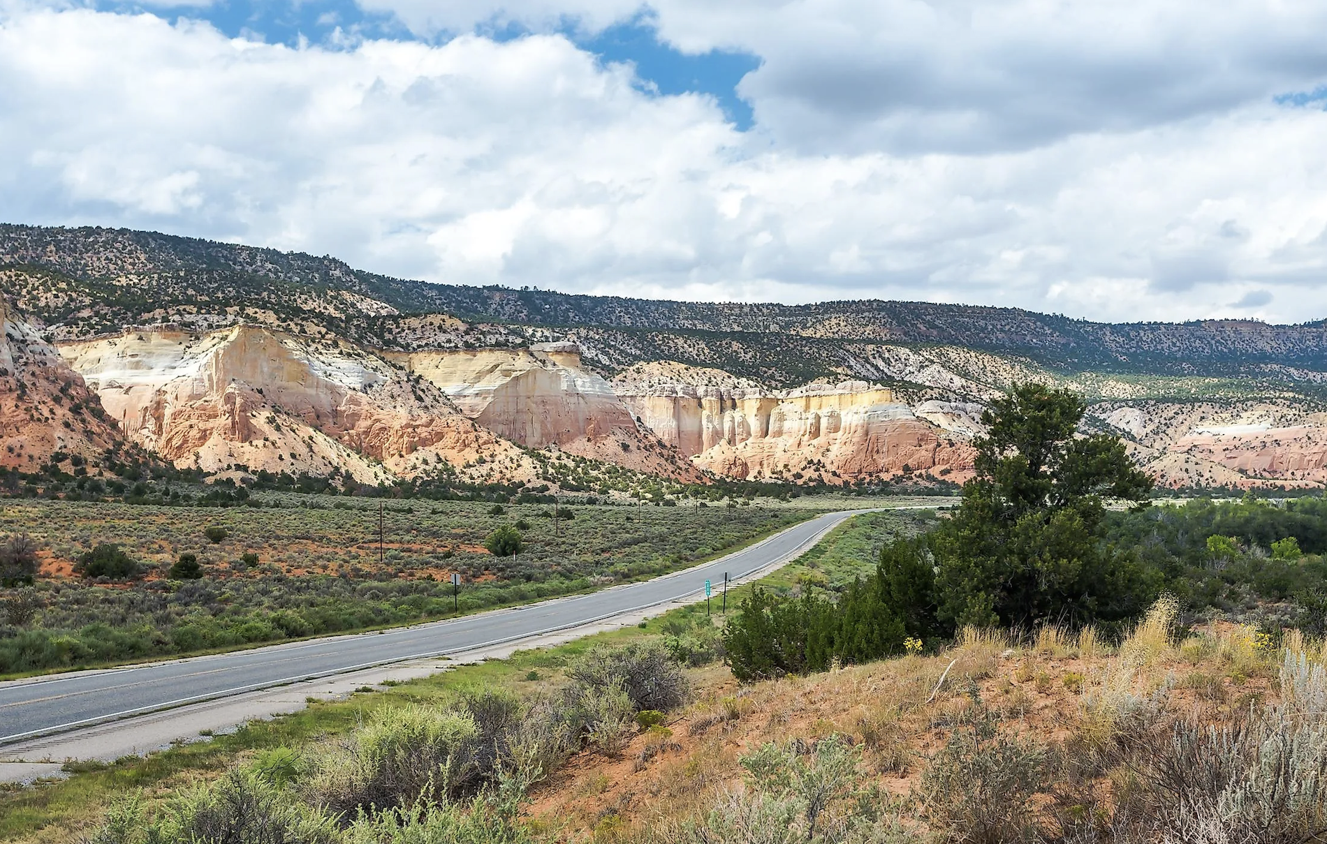 Land Auction: Your Bid is Your Monthly Payment!