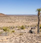 20 Rural Acres in Hudspeth, Texas!