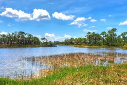Near Peace River & Babcock Ranch Preserve in Florida!