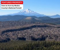 Over an Acre by Modoc County's National Forest!